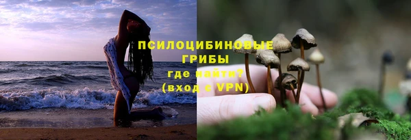 spice Алзамай