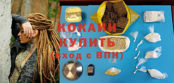 spice Алзамай