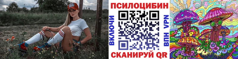 ОМГ ОМГ зеркало  Тимашёвск  Галлюциногенные грибы GOLDEN TEACHER 