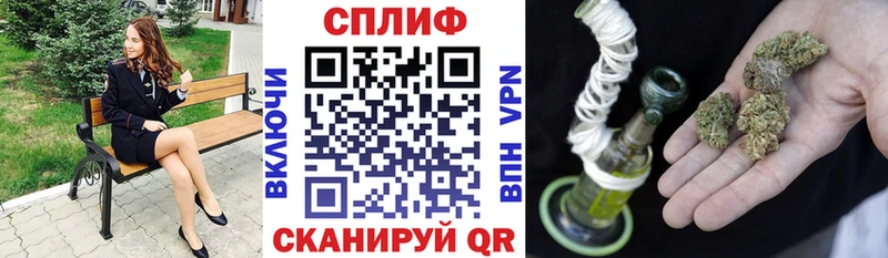 купить цена Тимашёвск Каннабис планчик